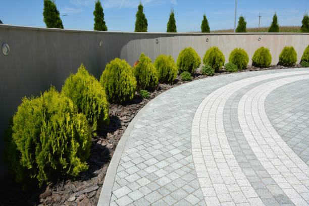 Best Best Driveway Pavers  in Parkway, CA